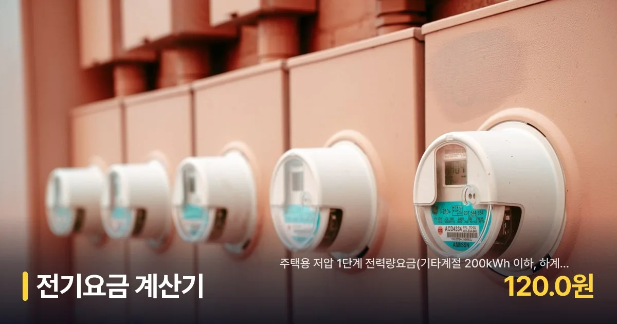 전기 계량기